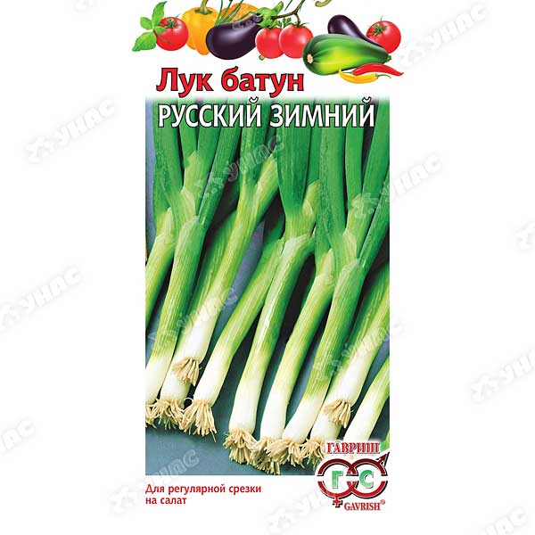 Лук батун Русский зимний Гавриш Ц