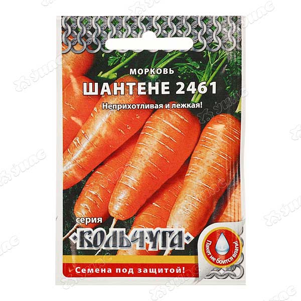 Морковь Шантенэ "Кольчуга" НК