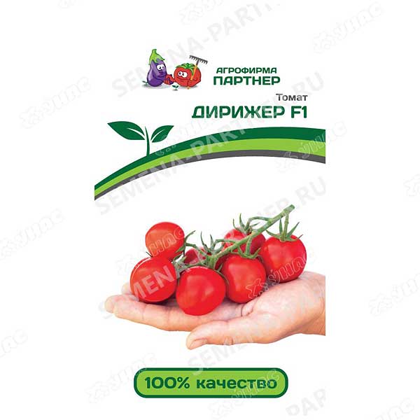 Семена Томат Дирижёр Партнер