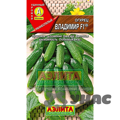 Огурец  Владимир Аэлита Ц
