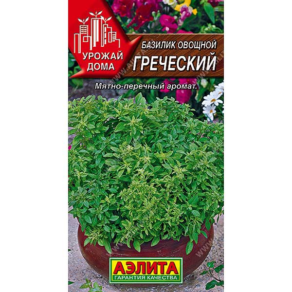Базилик Греческий Аэлита Ц