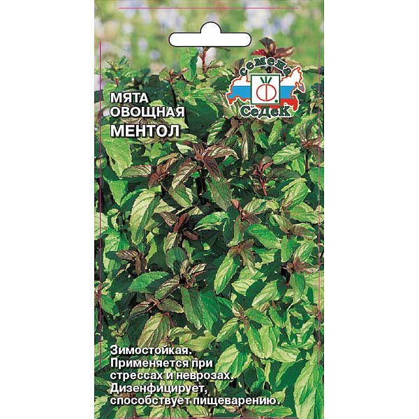 Мята Ментол Седек Ц