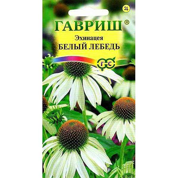 Эхинацея Белый Лебедь Гавриш Ц 