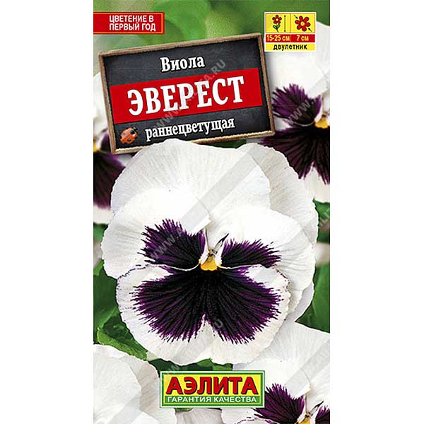 Виола Эверест  Аэлита Ц 