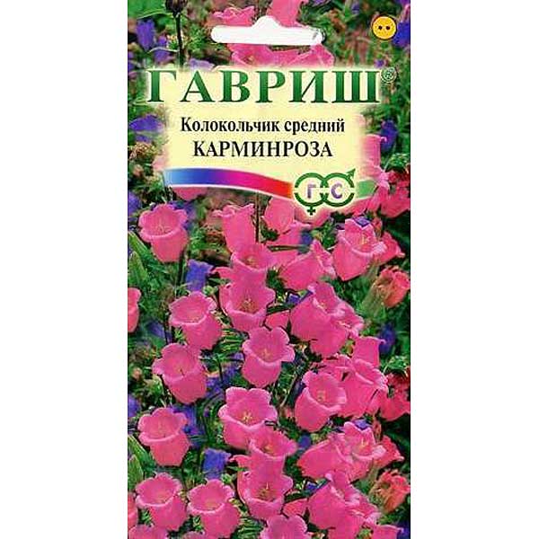 Колокольчик Карминроза средний Гавриш Ц 