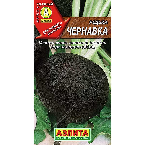 Редька Чернавка Аэлита Ц
