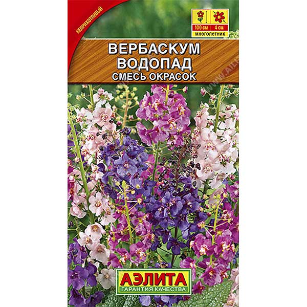 Вербаскум Водопад смесь Аэлита Ц 