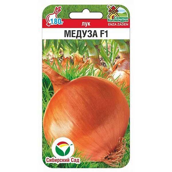 Лук Медуза СибСад Ц