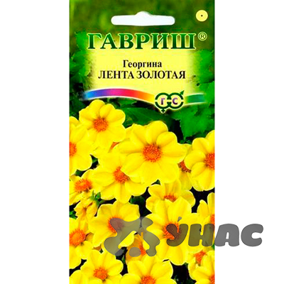 Георгин Лента золотая Гавриш Ц 