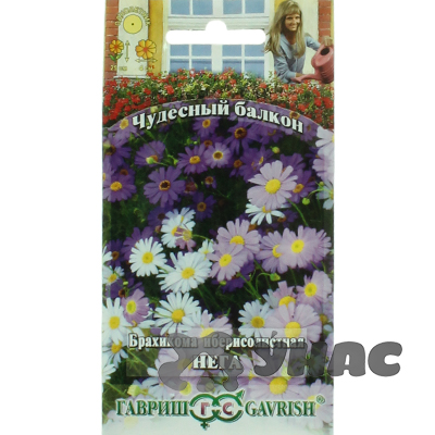 Брахикома Иберисолистная Нега (Чуд балкон)Гавриш Ц 