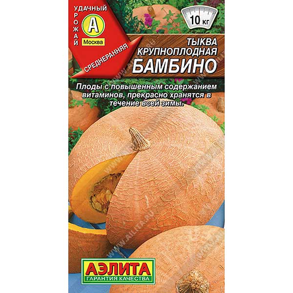 Тыква Бамбино Аэлита Ц