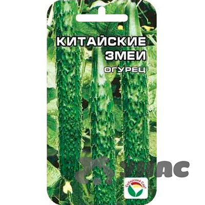 Огурец Китайские змеи СибСад Ц