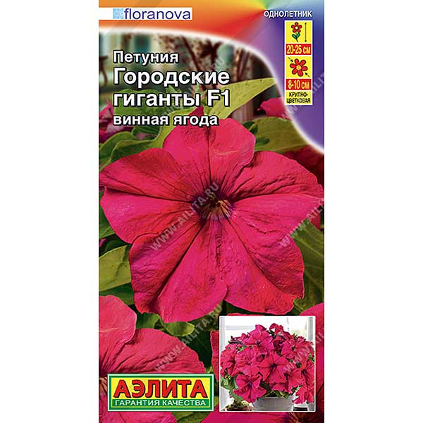 Петуния Городские гиганты винная ягода Аэлита Ц 