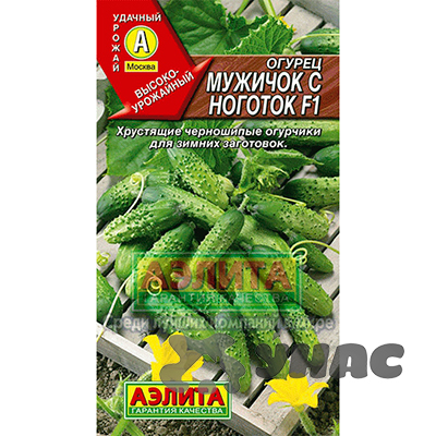 Огурец Мужичок с ноготок Аэлита Ц