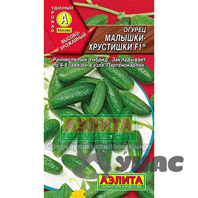 Огурец Малышки-Хрустишки Аэлита Ц