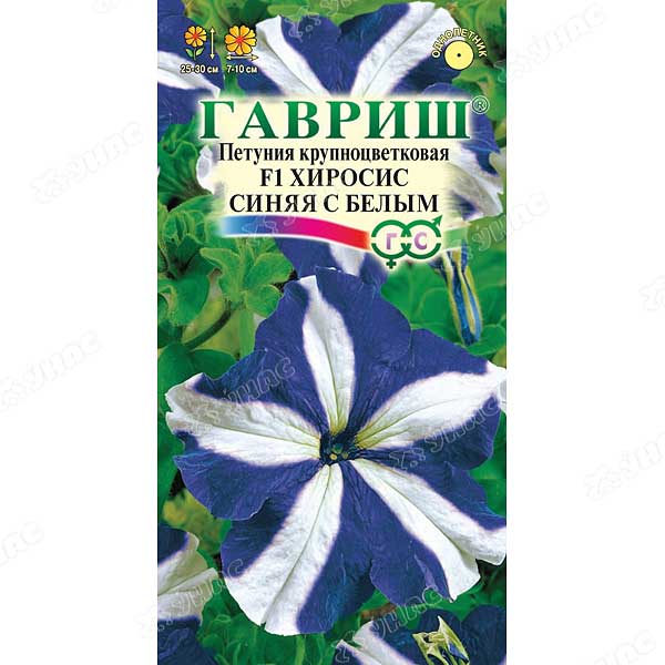 Петуния Хиросис синяя с белым Гавриш Ц 