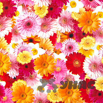 Клеенка тканая основа 125*25м 1 сорт 170/7 (хризантема) Тверь