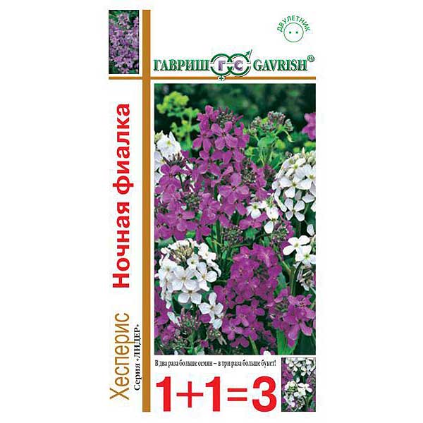 Хесперис Ночная Фиалка смесь 1+1 Гавриш Ц 