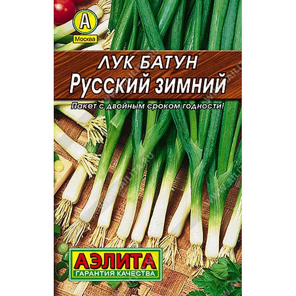 Лук батун Русский зимний Аэлита Ц Лидер х10
