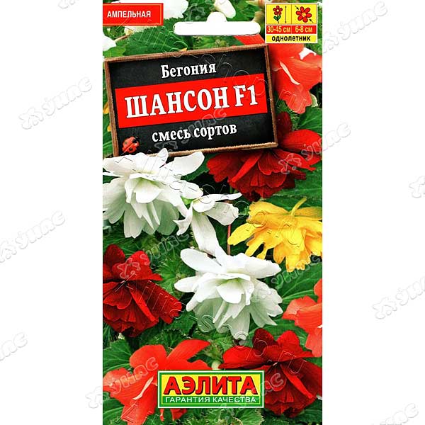 КОМ Бегония Шансон смесь Аэлита Ц 