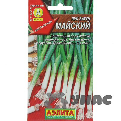 Лук батун Майский Аэлита Ц
