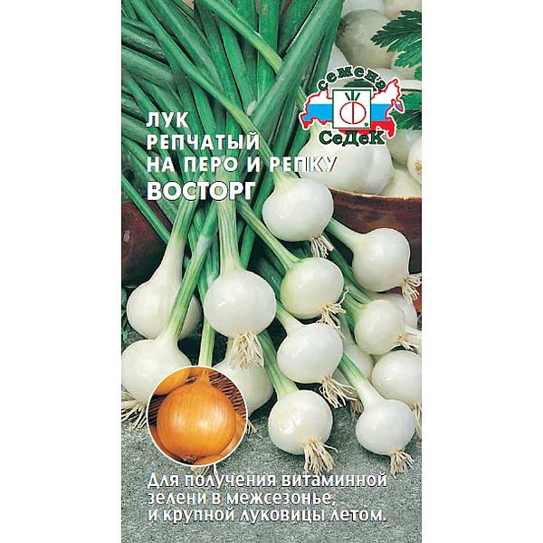 Лук Восторг репч. Седек Ц