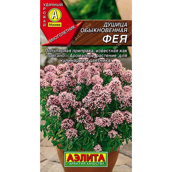 Душица Фея обыкновенная Аэлита Ц x10