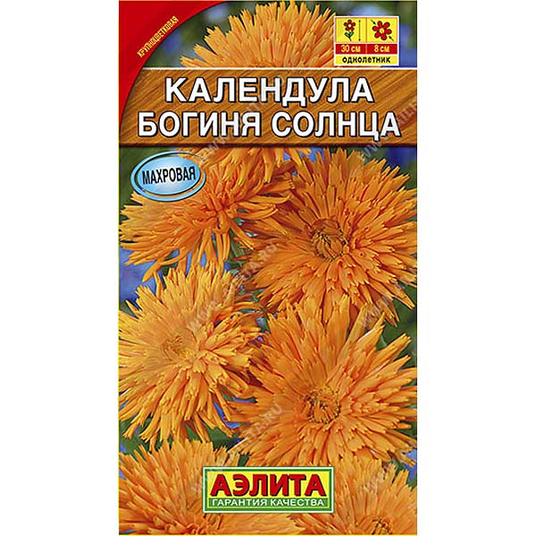 Календула Богиня солнца Аэлита Ц 