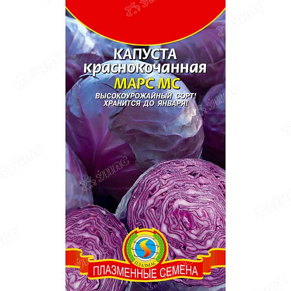 Капуста Марс к/к Плазма Ц