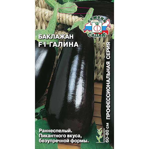 Баклажан Галина Седек Б