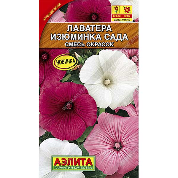 Лаватера Изюминка сада Аэлита Ц 