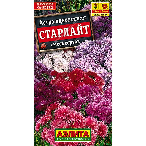 Астра Старлайт, смесь игольчатая Аэлита Ц 