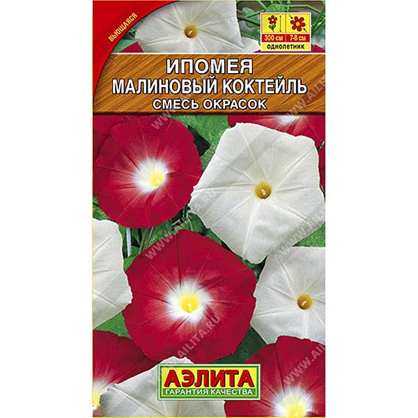 Ипомея Малиновый коктейль Аэлита Ц 