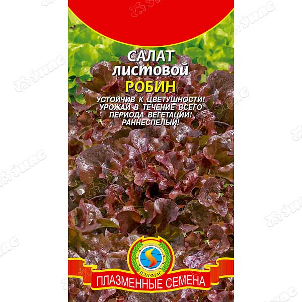 Салат листовой Робин Плазма Ц