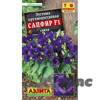 Эустома Сапфир Синяя крупноцветковая Аэлита Ц 