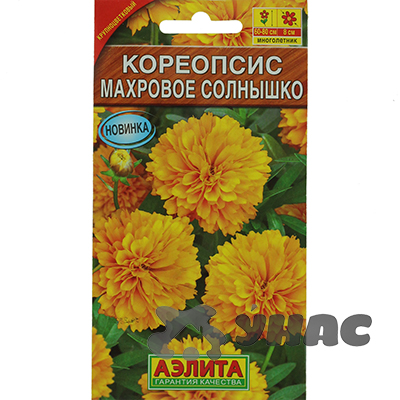 Кореопсис Махровое солнышко Аэлита Ц 