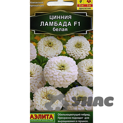 Циния Ламбада белая Аэлита Ц 