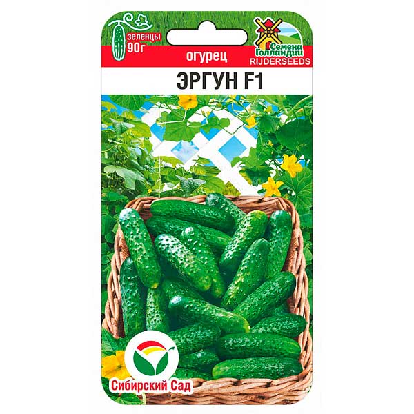 Огурец Эргун СибСад