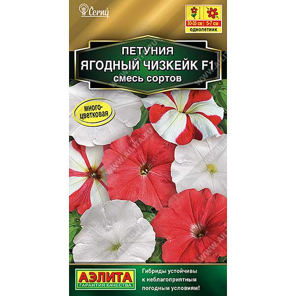 Петуния Ягодный чизкейк Аэлита Ц 