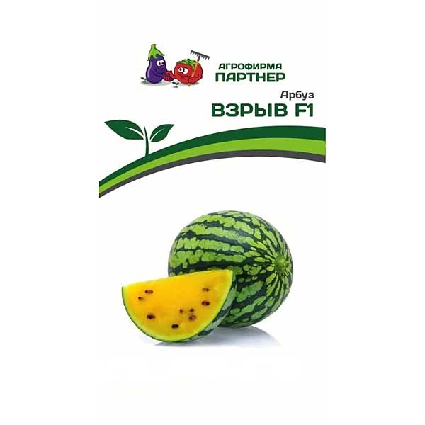 Арбуз Взрыв Партнер Ц