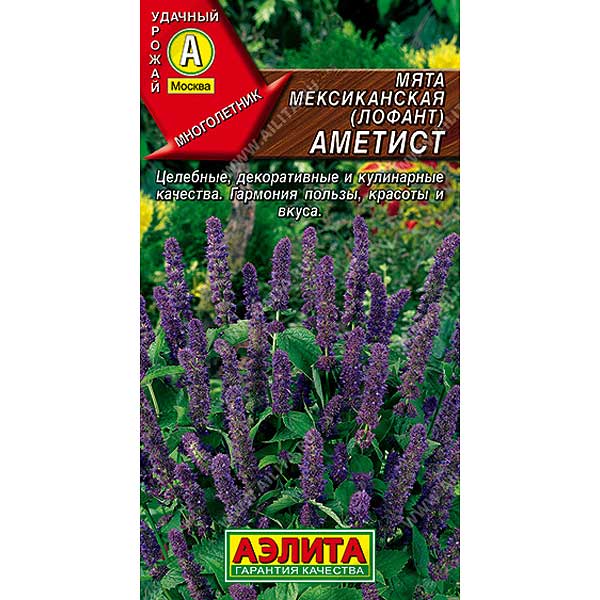 Мята Мексиканская Аметист Аэлита Ц