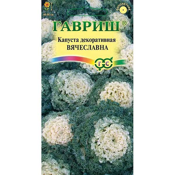 Капуста декор. Вячеславна Гавриш Ц 