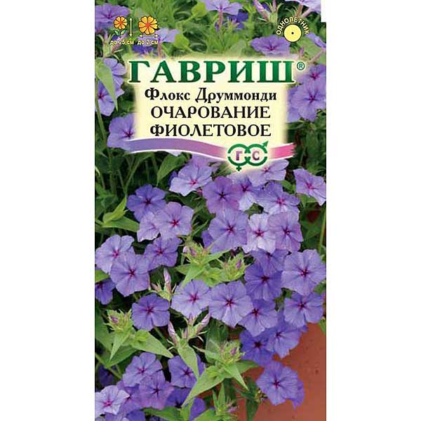 Флокс Друммонда Очарование фиолетовое Гавриш Ц 