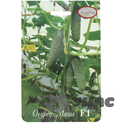 Огурец Маша 10шт (Нидерланды) Каприс