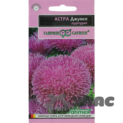Астра Джувел  Пурпурит Эксклюзив Гавриш Ц 