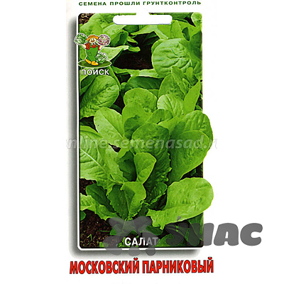 Салат Московский Парниковый Поиск Ц
