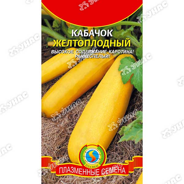 Кабачок Желтоплодный Плазма Ц