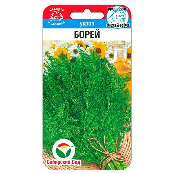 Укроп Борей СибСад