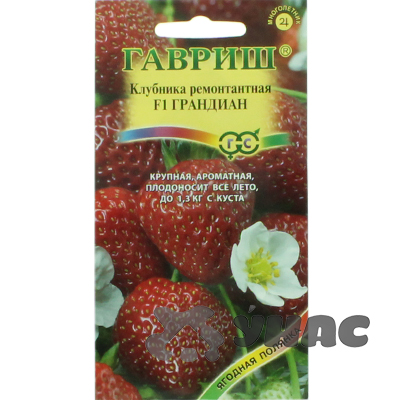 Клубника Грандиан Гавриш Ц