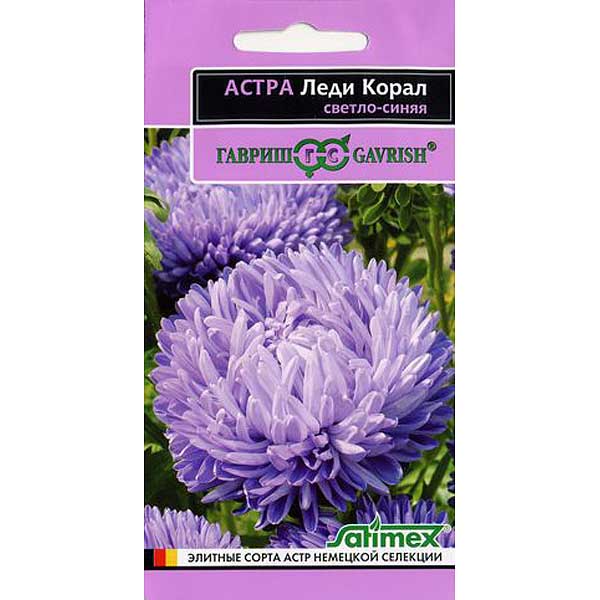 Астра Леди Корал Светло-синяя (эксклюзив) Гавриш Ц 